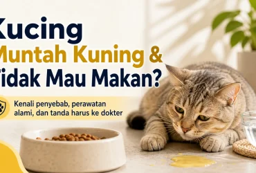 Kucing Tidak Mau Makan dan Muntah Kuning: Penyebab, Obat Alami, dan Tanda Harus ke Dokter