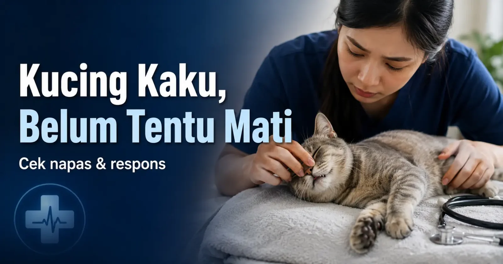 Penyebab Kucing Mati Kaku Memahaminya Dengan Baik Penyebab Kucing Mati Kaku Memahaminya Dengan Baik