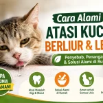 Terbaik! Cara Mengobati Kucing Mengeluarkan Air Liur dan Lemas Secara Alami