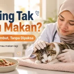 Cara Memberi Makan Kucing yang Tidak Mau Makan Tanpa Dipaksa