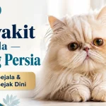 Penyakit pada Kucing Persia: Ciri, Penyebab, dan Pencegahannya