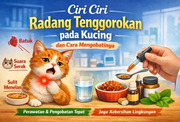 Sembuh! Ciri Ciri Radang Tenggorokan pada Kucing dan Cara Mengobatinya