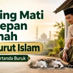 Ada Kucing Mati di Depan Rumah Pertanda Apa Menurut Islam? Ternyata Bukan Selalu Tanda Buruk