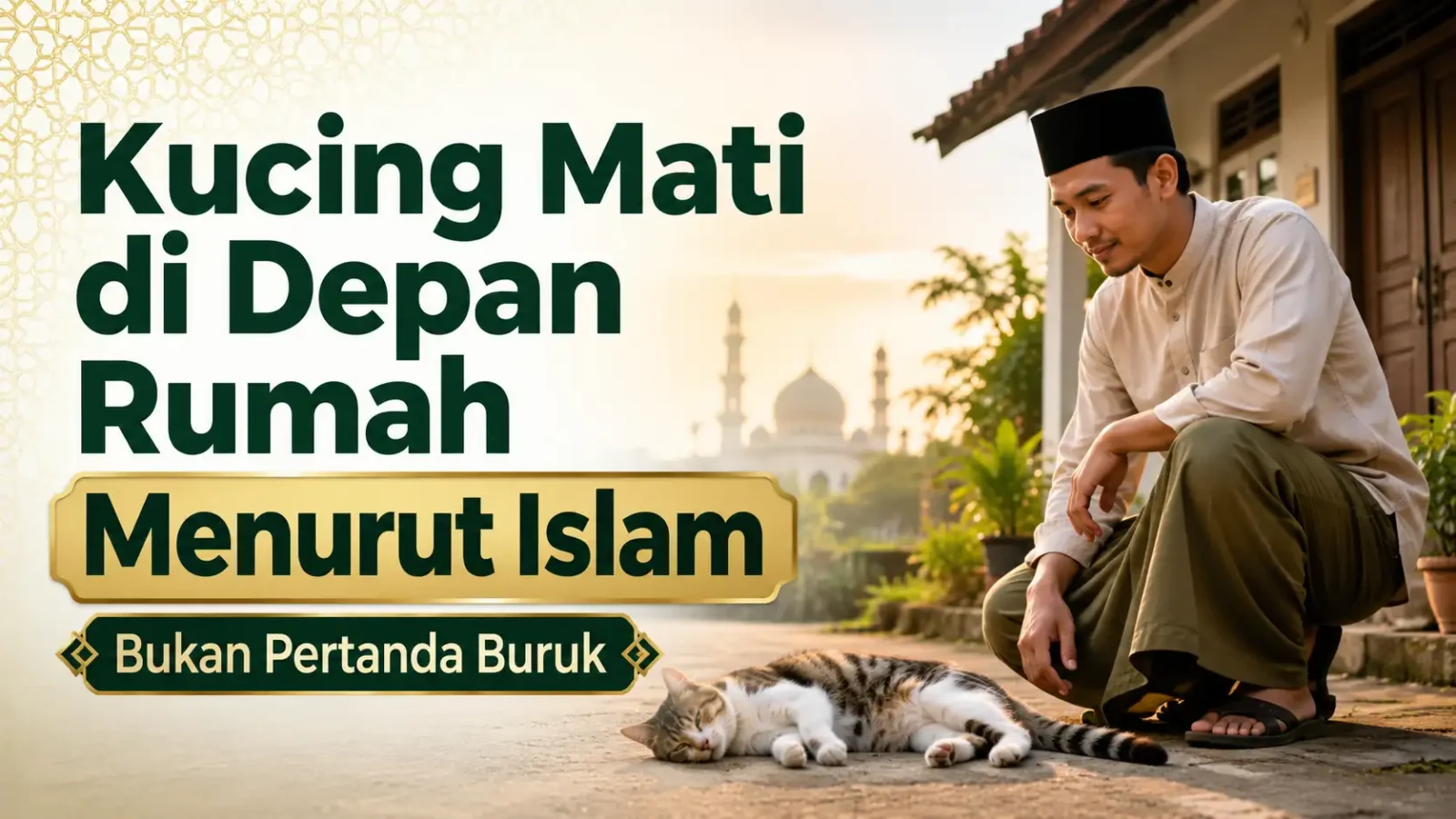 Ada Kucing Mati di Depan Rumah Pertanda Apa Menurut Islam? Ternyata Bukan Selalu Tanda Buruk