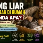 Kucing Liar Melahirkan di Rumah, Ternyata Ini Makna Tersembunyi Menurut Primbon Jawa