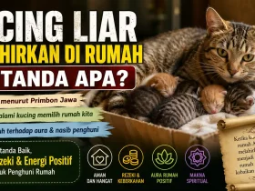 Kucing Liar Melahirkan di Rumah, Ternyata Ini Makna Tersembunyi Menurut Primbon Jawa
