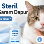 Solusi Ampuh Cara Mengobati Sakit Mata pada Kucing dengan Air Garam Secara Efektif