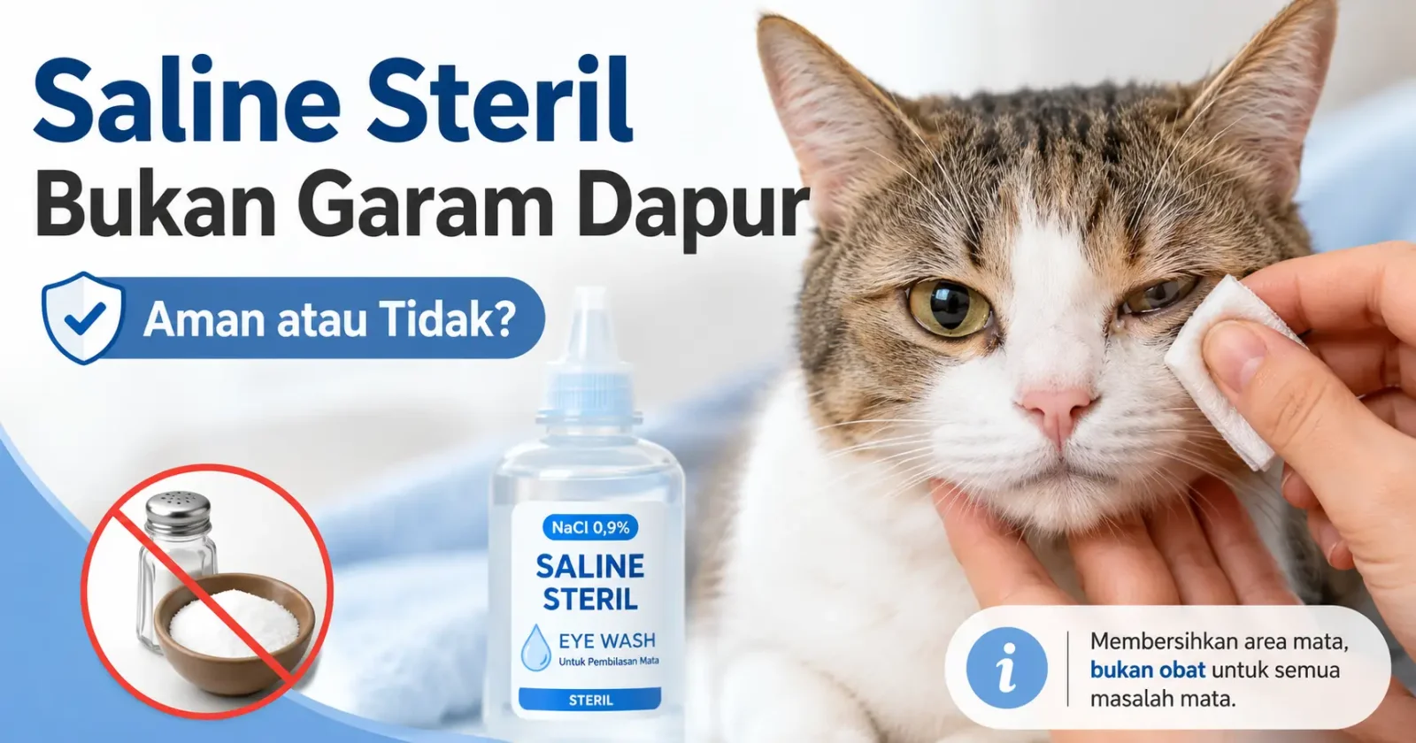 Solusi Ampuh Cara Mengobati Sakit Mata pada Kucing dengan Air Garam Secara Efektif Solusi Ampuh Cara Mengobati Sakit Mata pada Kucing dengan Air Garam Secara Efektif