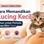 Cara Memandikan Kucing Kecil untuk Pemula: Teknik Aman Tanpa Bikin Mereka Takut