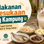 7 Makanan Kesukaan Kucing Kampung agar Cepat Gemuk Tanpa Obat dan Tetap Sehat