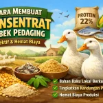 Rahasia Cara Membuat Konsentrat Bebek Pedaging