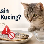 Info Penting! Apakah Kucing Boleh Makan Ikan Asin?