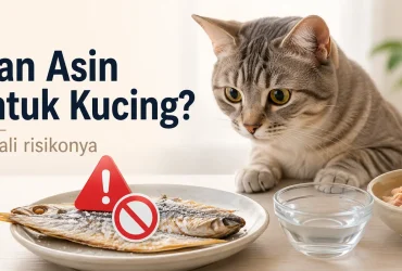 Info Penting! Apakah Kucing Boleh Makan Ikan Asin?