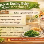 Penuh Nutrisi! Apakah Kucing Boleh Makan Kangkung?