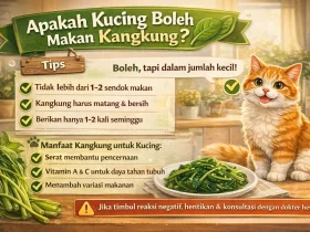 Penuh Nutrisi! Apakah Kucing Boleh Makan Kangkung?
