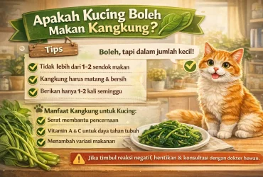 Penuh Nutrisi! Apakah Kucing Boleh Makan Kangkung?