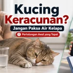 Air Kelapa untuk Kucing Keracunan: Penawar atau Hanya Mitos?