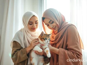 Beberapa Cara Menghilangkan Kutu Kucing dengan Sunlight