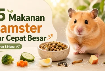 15 Makanan Hamster Biar Cepat Besar dan Hamil: Panduan Takaran dan Waktu Pemberian