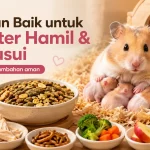Makanan yang Baik untuk Hamster Hamil dan Menyusui