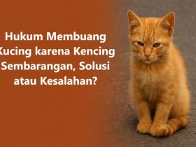 Hukum Membuang Kucing karena Kencing Sembarangan, Solusi atau Kesalahan?