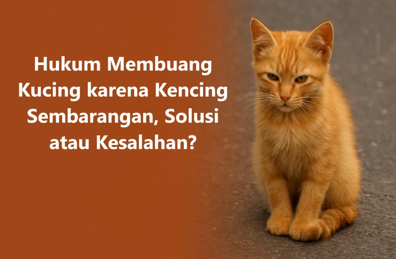 Hukum membuang kucing karena kencing sembarangan
