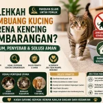 Hukum Membuang Kucing karena Kencing Sembarangan, Solusi atau Kesalahan?