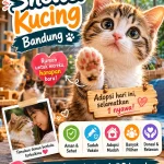 7 Daftar Shelter Kucing Bandung yang Bisa Diadopsi dan Dirawat Siapapun