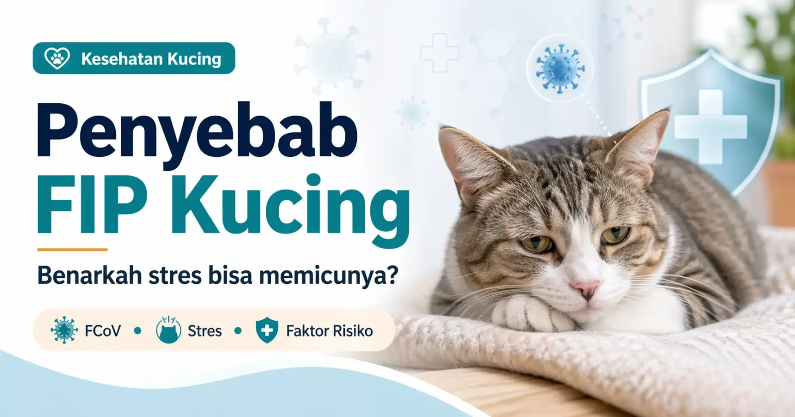 Penyebab FIP Kucing yang Jarang Disadari Pemilik: Benarkah Stres Bisa Memicunya?
