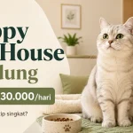 Review Jujur Happy Cat House Bandung: Fasilitas, Harga, Pelayanan — Worth It atau Tidak?