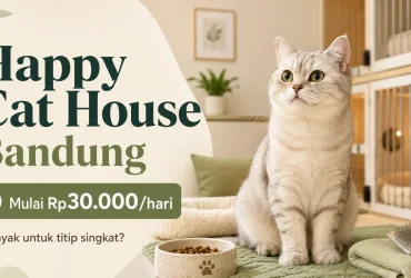 Review Jujur Happy Cat House Bandung: Fasilitas, Harga, Pelayanan — Worth It atau Tidak?