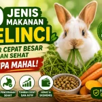 10 Jenis Makanan Kelinci Agar Cepat Besar dan Sehat Tanpa Mahal