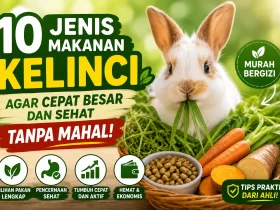 10 Jenis Makanan Kelinci Agar Cepat Besar dan Sehat Tanpa Mahal