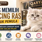 Tips Memilih Kucing Ras di Qasya Cathouse Bandung untuk Pemula