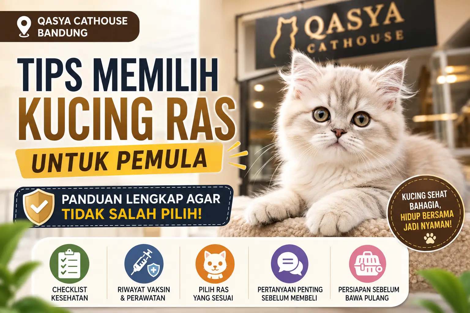 Tips Memilih Kucing Ras di Qasya Cathouse Bandung untuk Pemula