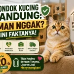 Pondok Kucing Bandung: Aman Nggak? Ini Faktanya!