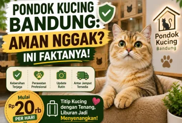 Pondok Kucing Bandung: Aman Nggak? Ini Faktanya!