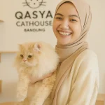 Kucing ras untuk pemula
