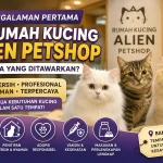 Pengalaman Pertama Berkunjung ke Rumah Kucing Alien Petshop: Apa Saja yang Ditawarkan?