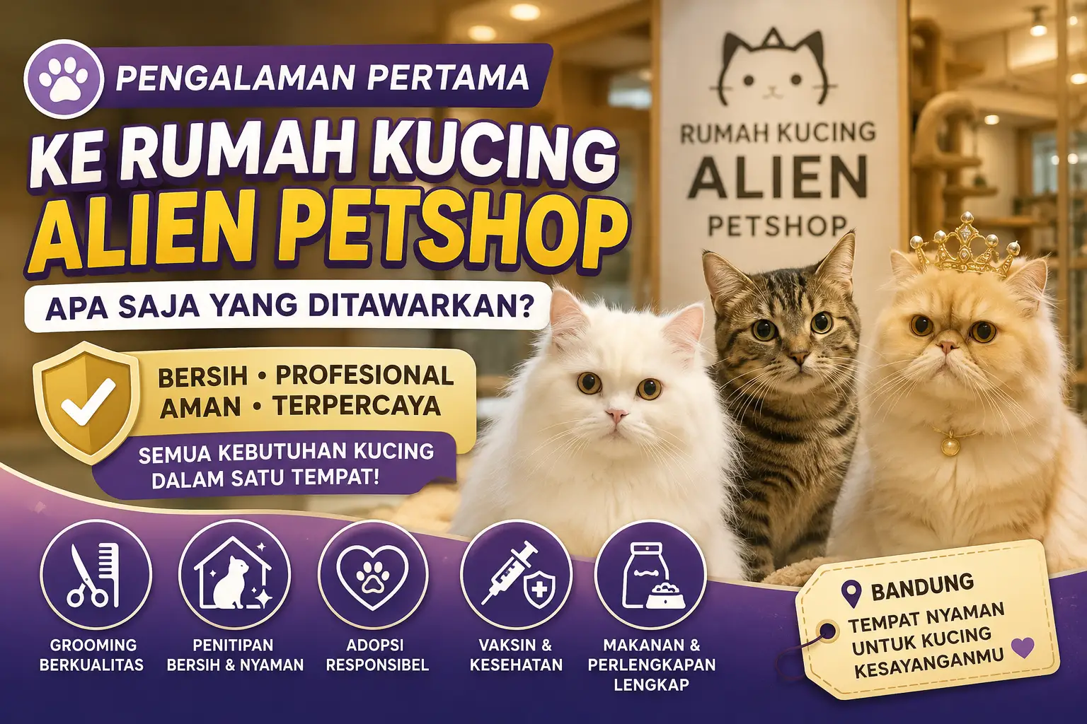 Pengalaman Pertama Berkunjung ke Rumah Kucing Alien Petshop: Apa Saja yang Ditawarkan?