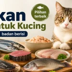 7 Ikan yang Bagus untuk Kucing supaya Bulu Lebat, Badan Berisi, dan Tidak Bau