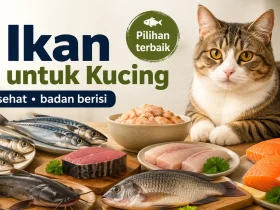 7 Ikan yang Bagus untuk Kucing supaya Bulu Lebat, Badan Berisi, dan Tidak Bau