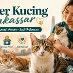 Shelter Kucing Makassar: Cara Adopsi, Donasi, dan Jadi Relawan