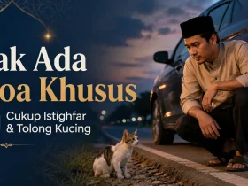 Doa Tidak Sengaja Menabrak Kucing: Apakah Ada Doa Khusus atau Cukup Istighfar?