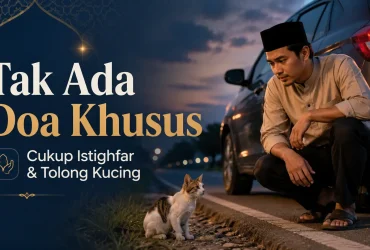 Doa Tidak Sengaja Menabrak Kucing: Apakah Ada Doa Khusus atau Cukup Istighfar?