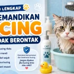 Cara Memandikan Kucing agar Tidak Berontak: Kesalahan yang Sering Dilakukan Pemilik