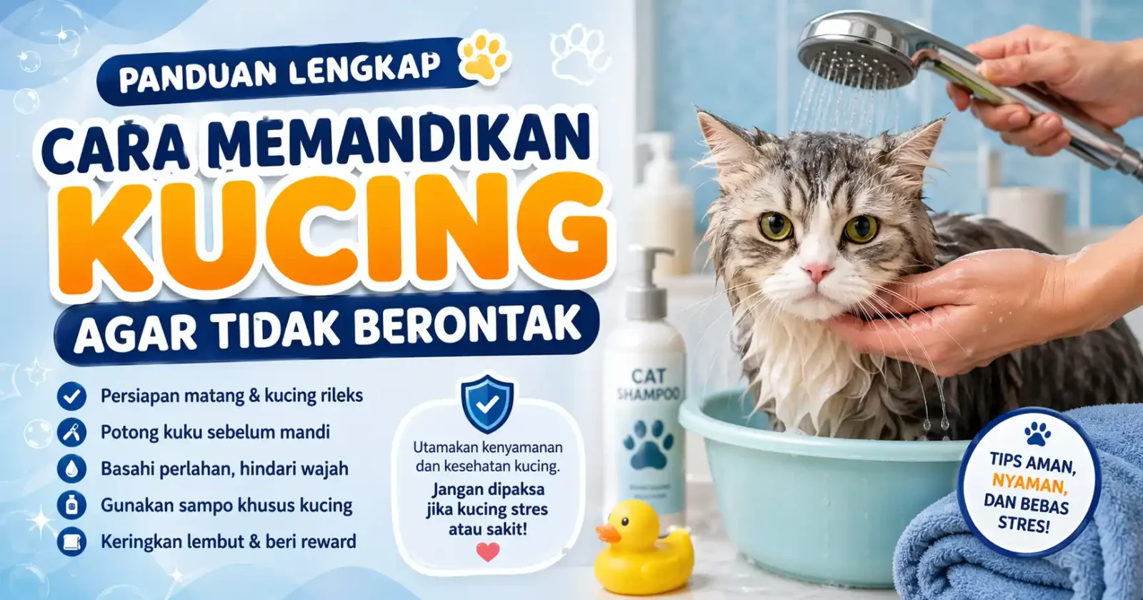 Cara Memandikan Kucing agar Tidak Berontak: Kesalahan yang Sering Dilakukan Pemilik