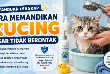 Cara Memandikan Kucing agar Tidak Berontak: Kesalahan yang Sering Dilakukan Pemilik