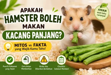 Apakah Hamster Boleh Makan Kacang Panjang? Mitos vs Fakta yang Wajib Kamu Tahu