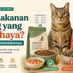 Merk Makanan Kucing yang Berbahaya atau Tidak Cocok? Begini Cara Membedakannya